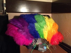 Rainbow Feather Fans