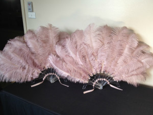 Burlesque Feather Fans Posted Australia Wide