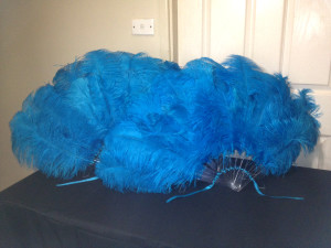 Turquoise Feather Fans