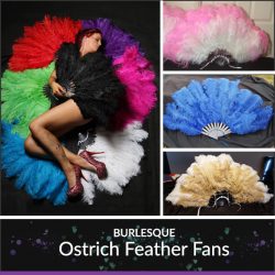 Burlesque Feather Fans