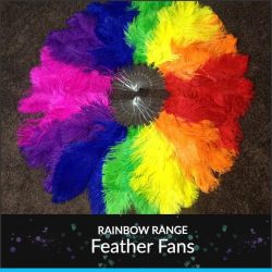 Rainbow Feather Fans