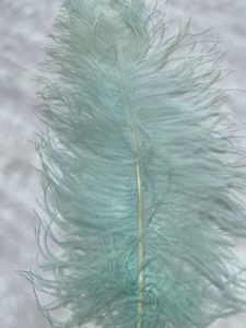 60-70cm Mint ostrich wings